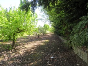 Jardín